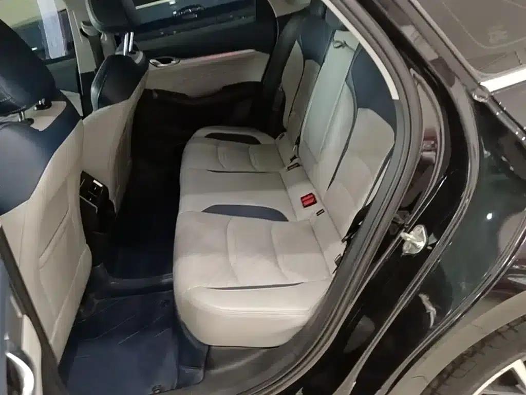 Xingrui 2021 Facelift 2.0TD Premium Edition — миниатюра 17