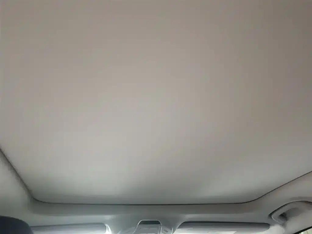 Xingrui 2021 Facelift 2.0TD Premium Edition — миниатюра 18