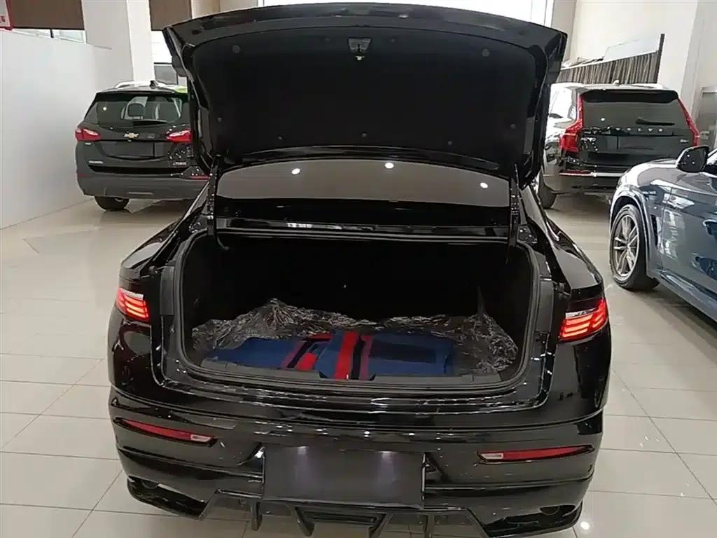 Xingrui 2021 Facelift 2.0TD Premium Edition — миниатюра 19