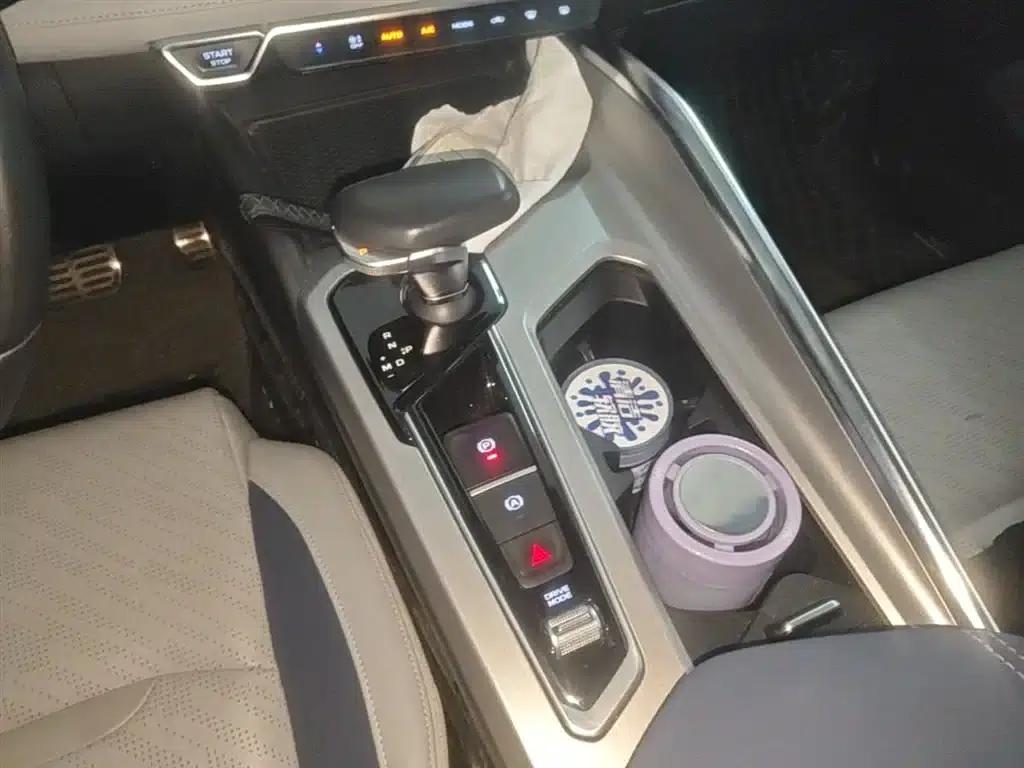 Xingrui 2021 2.0TD Premium Edition — миниатюра 14