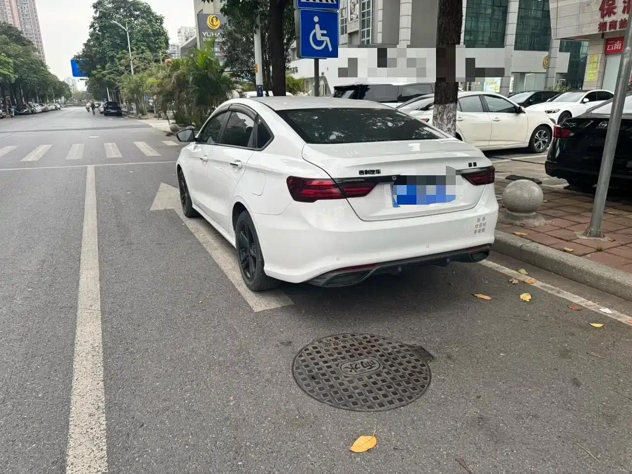 Geely Binrui 2021 1.4T CVT Asian Games Edition — миниатюра 9