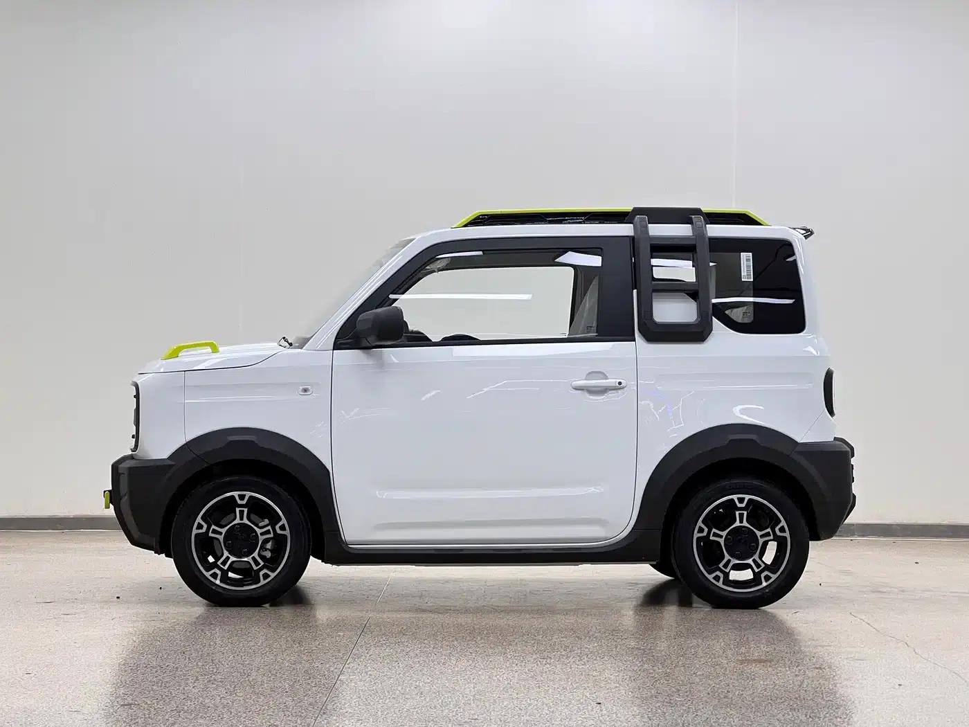 Panda 2025 Model 210km Panda Rider — миниатюра 4