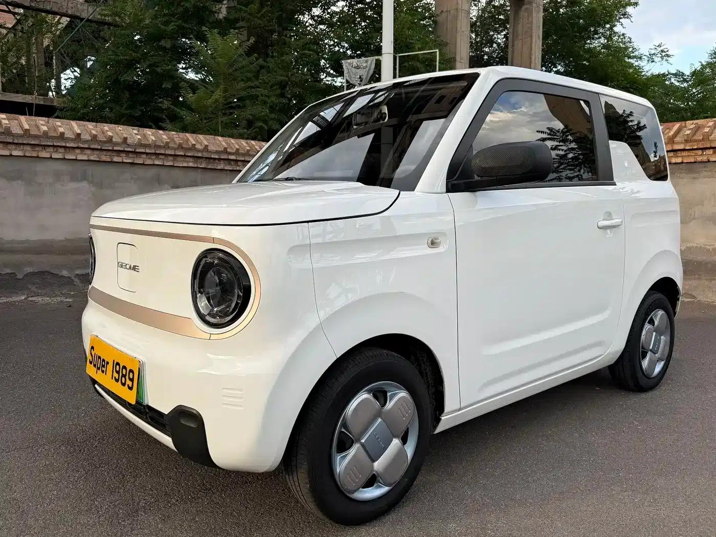 Panda 2023 Panda Mini 200km Endurance Bear — миниатюра 1