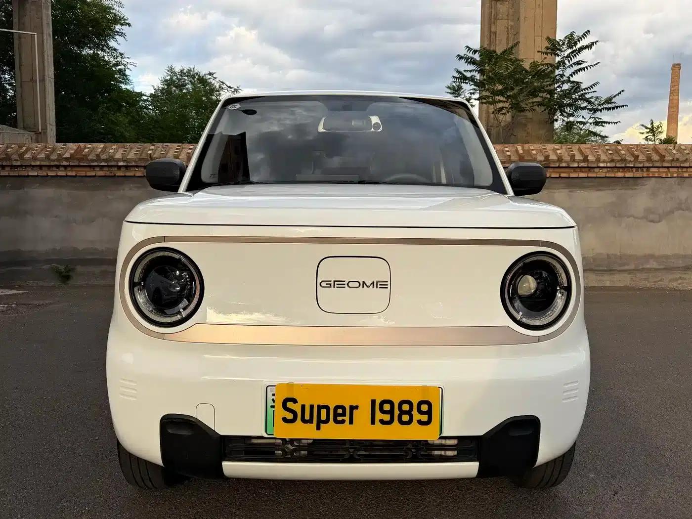 Panda 2023 Panda Mini 200km Endurance Bear — миниатюра 2
