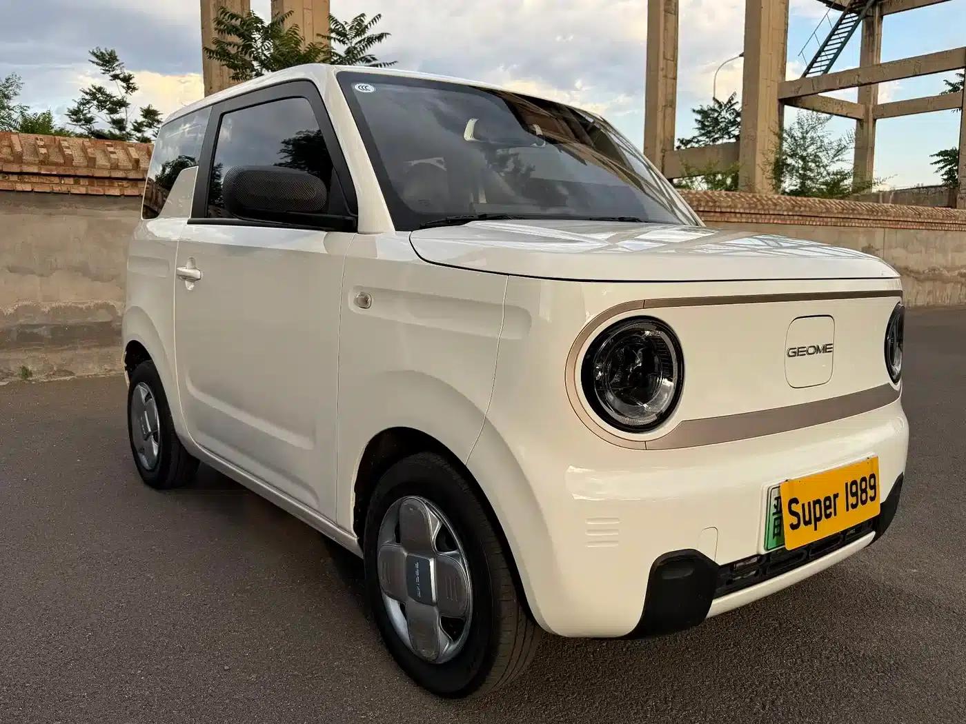 Panda 2023 Panda Mini 200km Endurance Bear — миниатюра 3