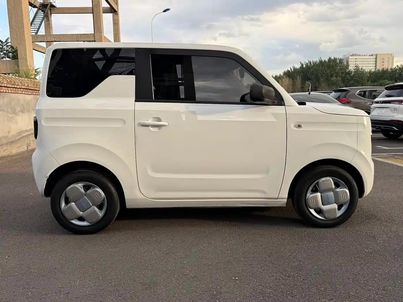 Panda 2023 Panda Mini 200km Endurance Bear — миниатюра 7