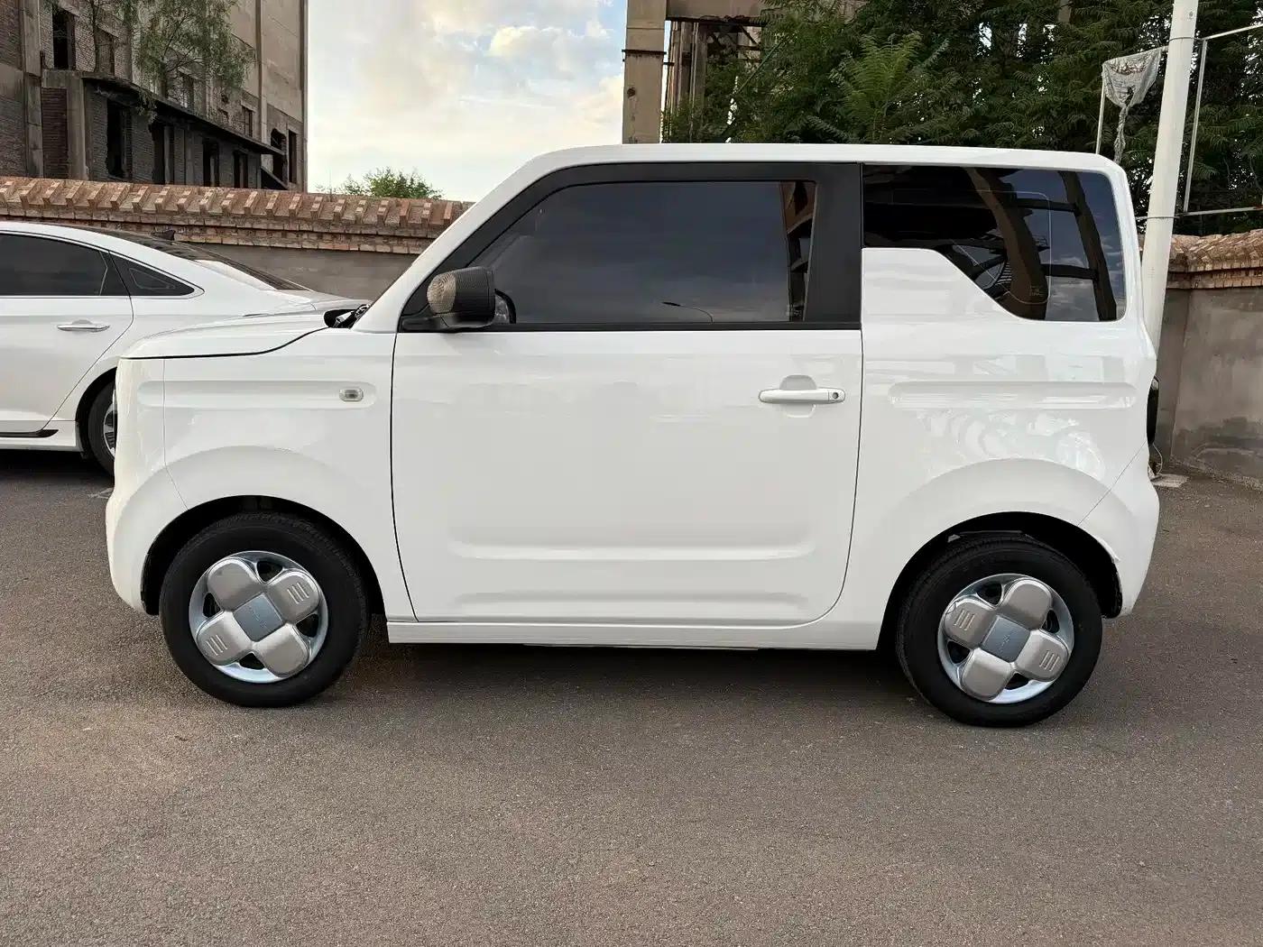 Panda 2023 Panda Mini 200km Endurance Bear — миниатюра 8