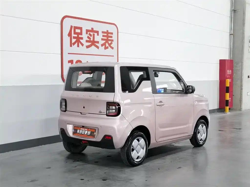 Panda 2024 Panda Mini 200km Dragon PRO Edition — миниатюра 2