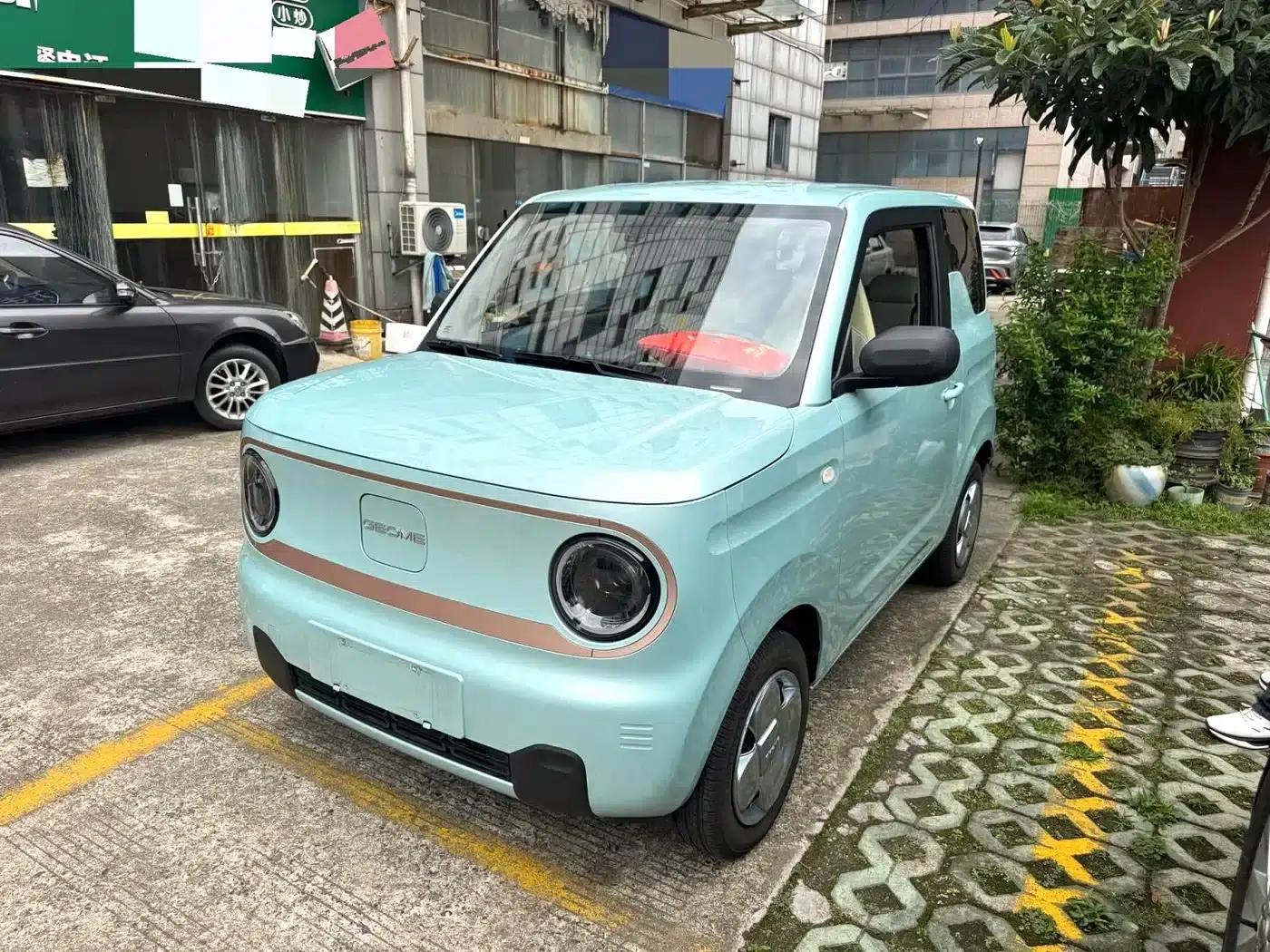 Panda 2025 Panda Mini 210km - Energetic Bear — миниатюра 1