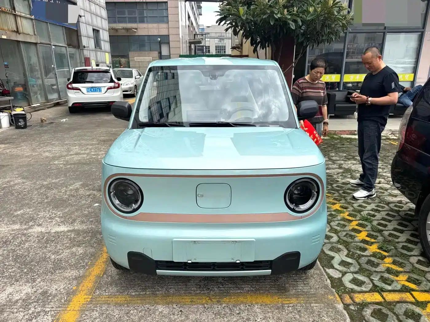 Panda 2025 Panda Mini 210km - Energetic Bear — миниатюра 2