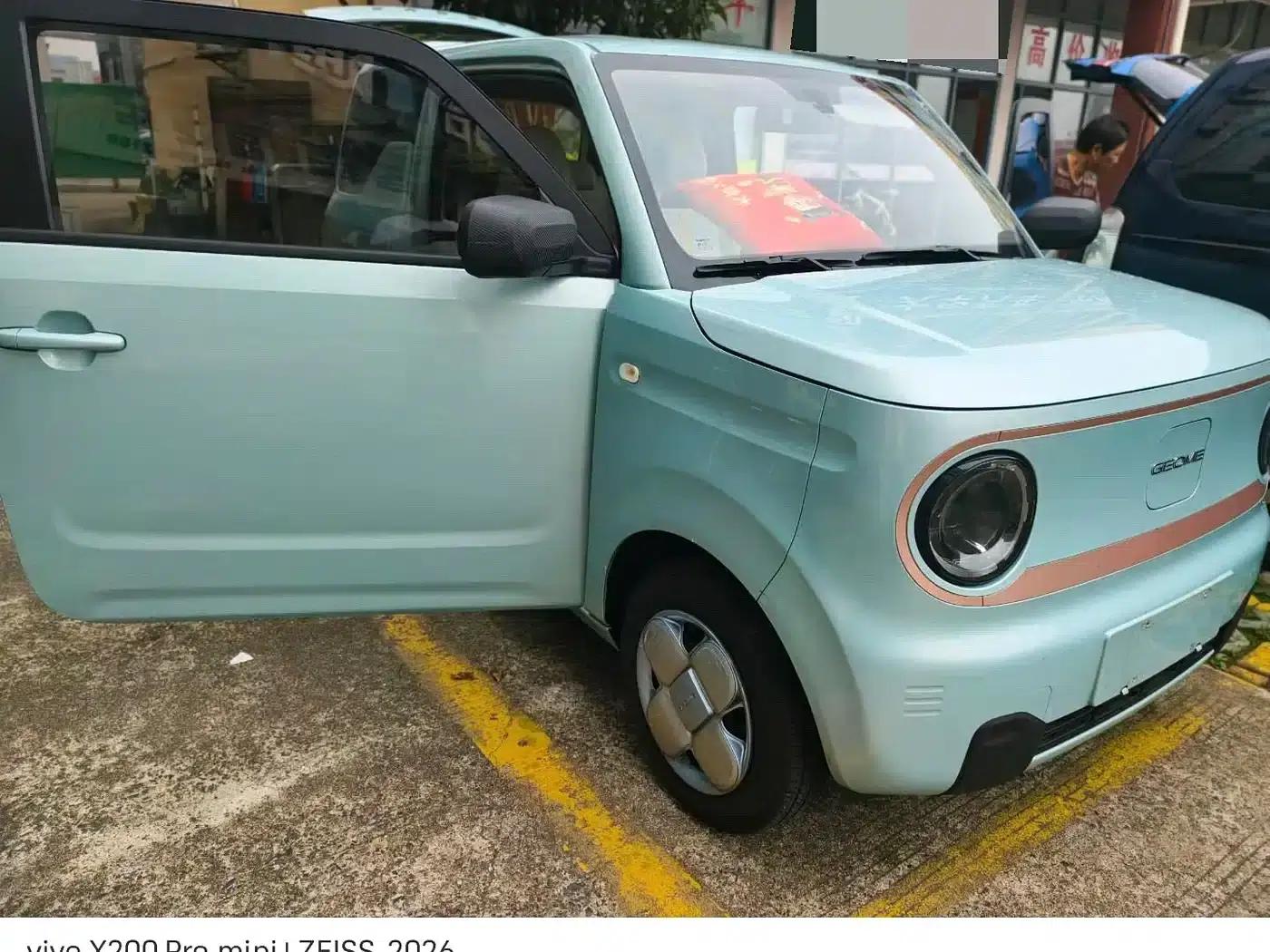 Panda 2025 Panda Mini 210km - Energetic Bear — миниатюра 4