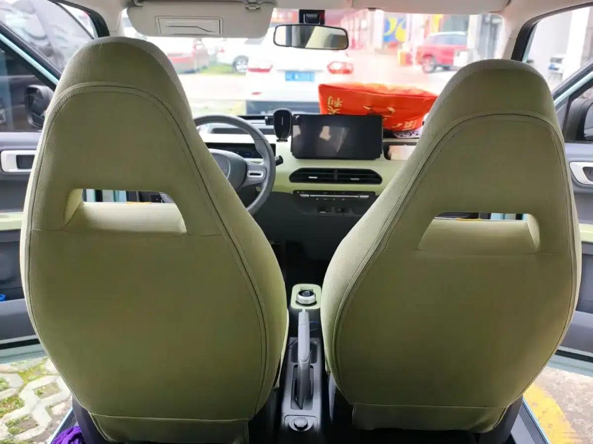 Panda 2025 Panda Mini 210km - Energetic Bear — миниатюра 5