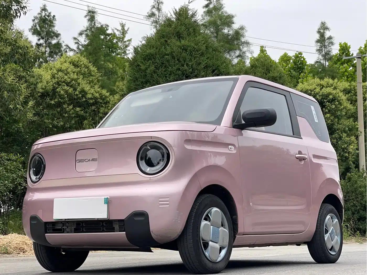 Panda 2024 Panda Mini 200km Endurance Bear — миниатюра 1