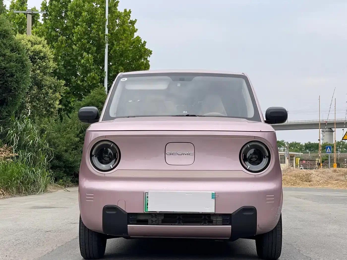 Panda 2024 Panda Mini 200km Endurance Bear — миниатюра 2