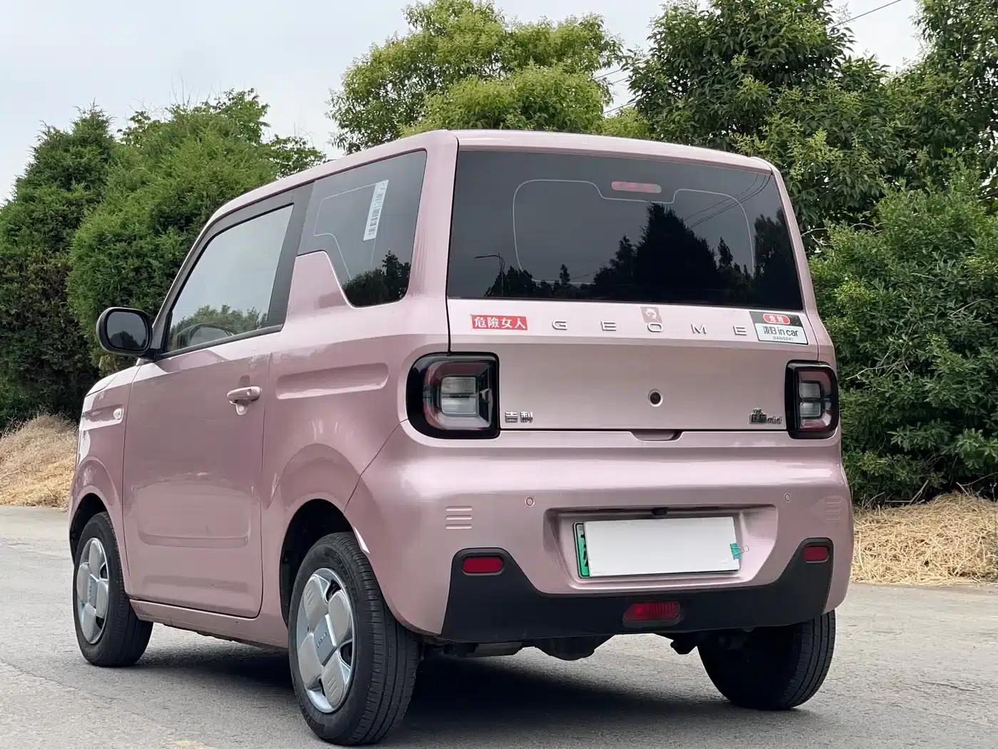 Panda 2024 Panda Mini 200km Endurance Bear — миниатюра 5