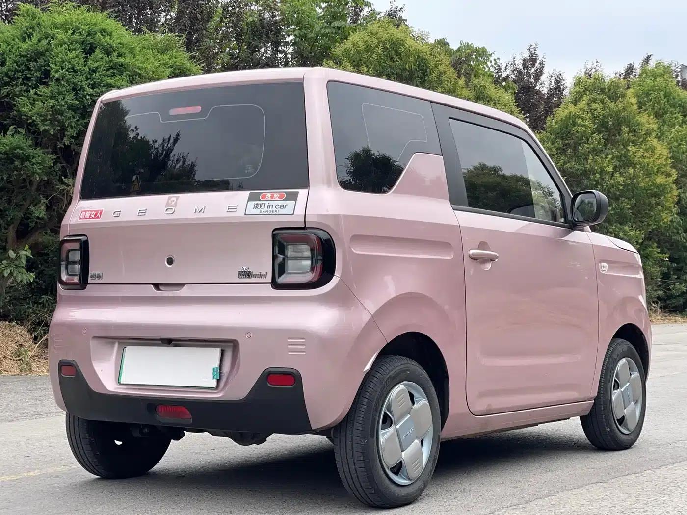 Panda 2024 Panda Mini 200km Endurance Bear — миниатюра 7
