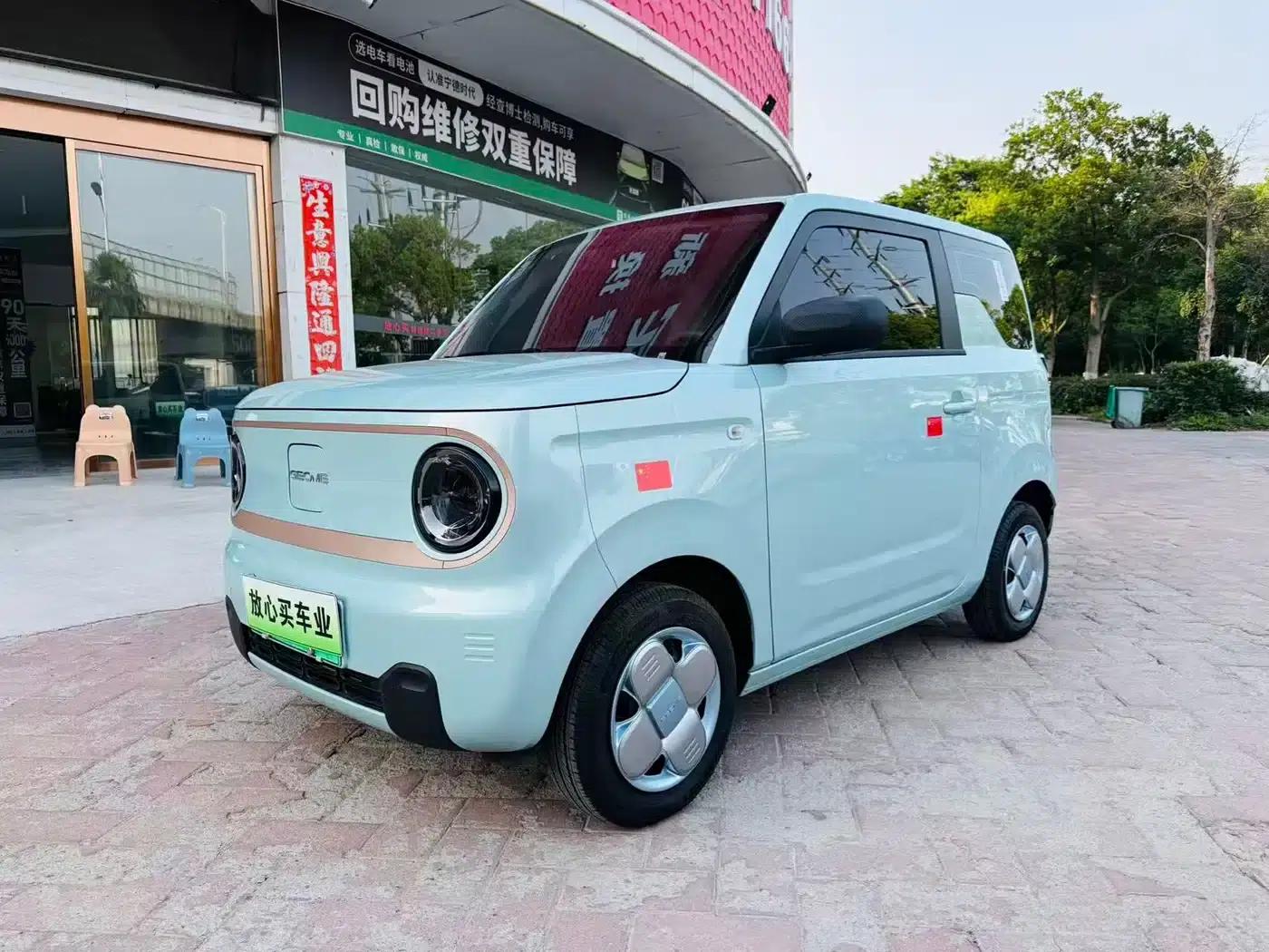 Panda 2024 Panda Mini 200km Endurance Bear — миниатюра 1