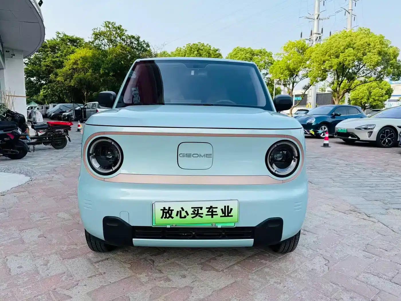 Panda 2024 Panda Mini 200km Endurance Bear — миниатюра 2