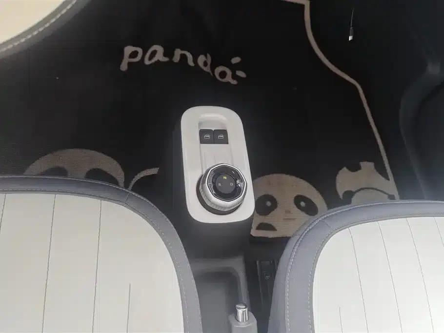 Panda 2024 Model 200km Panda Rider — миниатюра 16