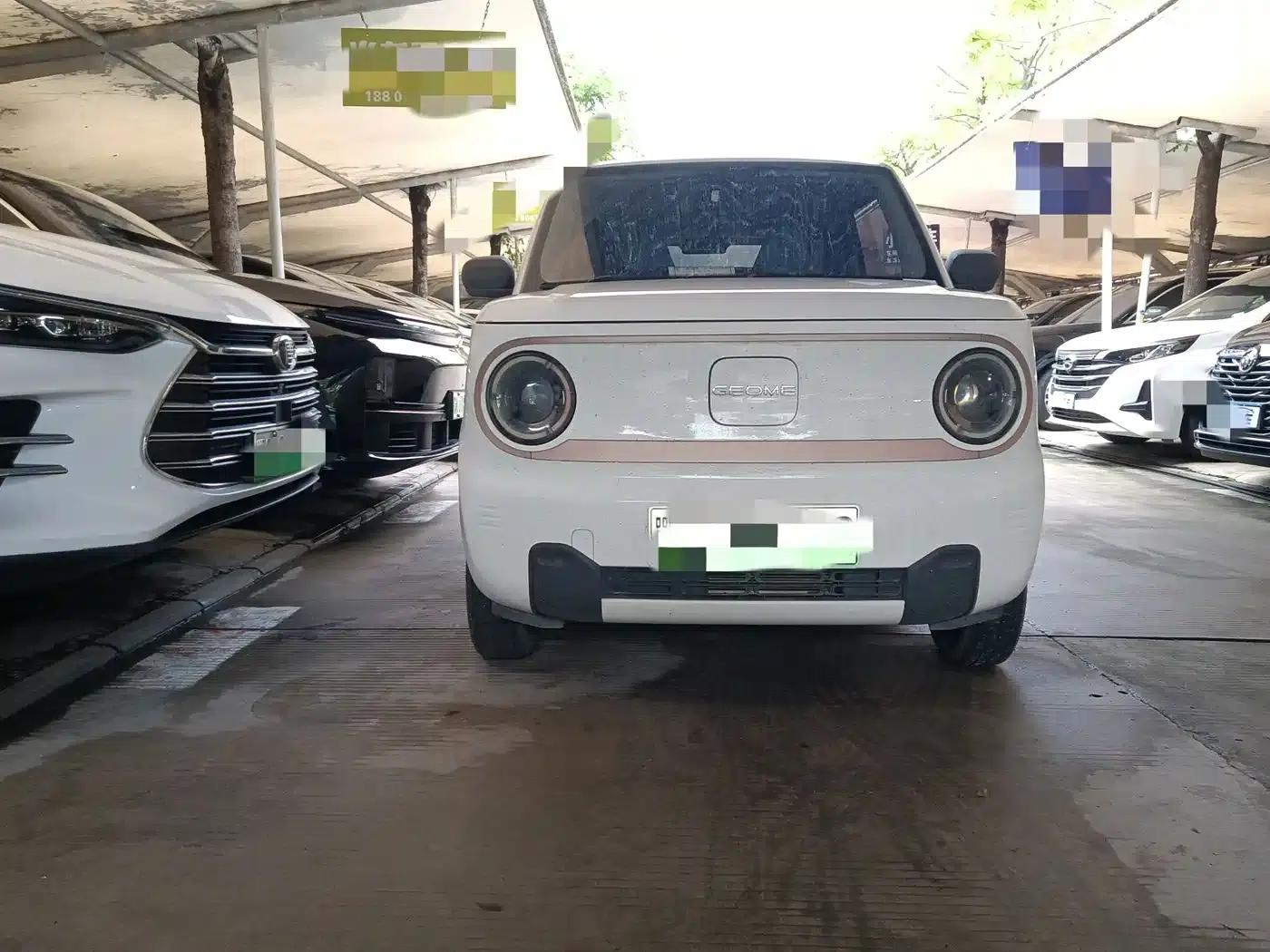 Panda 2023 Panda Mini 200km Endurance Bear — миниатюра 2