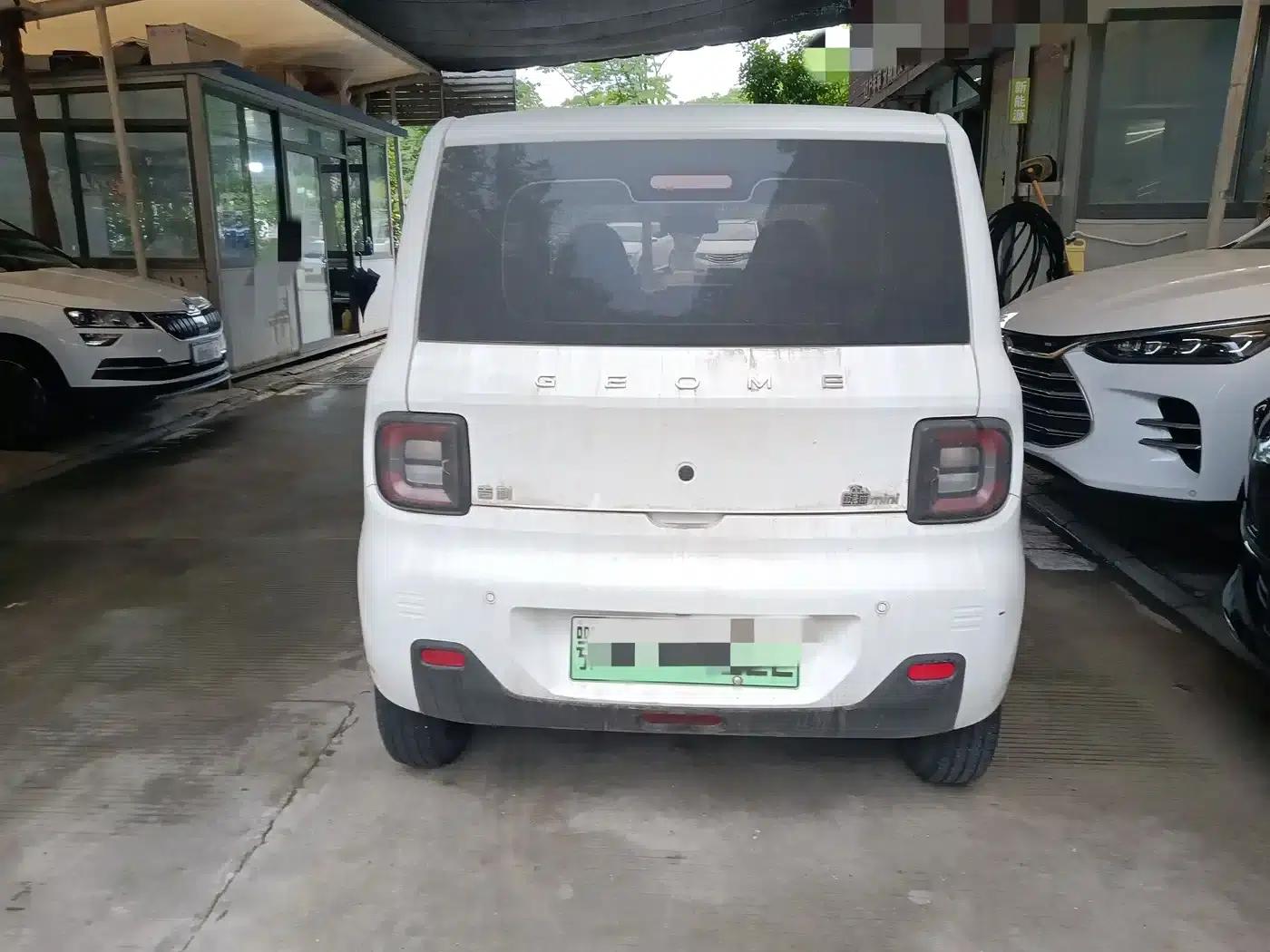 Panda 2023 Panda Mini 200km Endurance Bear — миниатюра 9