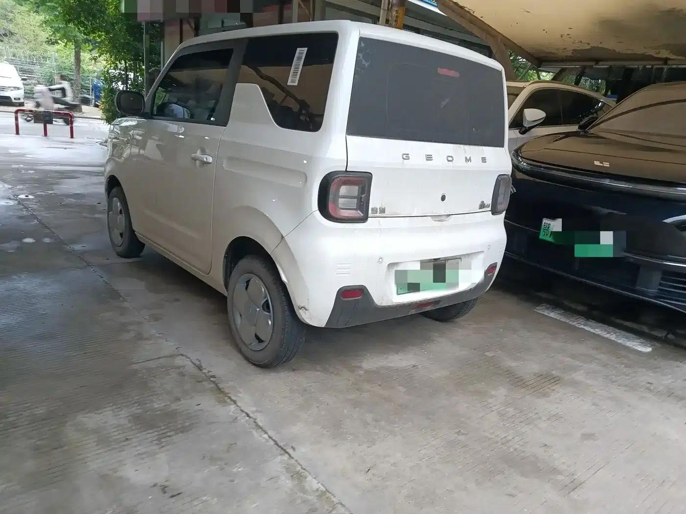 Panda 2023 Panda Mini 200km Endurance Bear — миниатюра 10