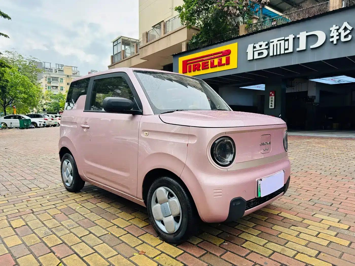 Panda 2023 Panda Mini 200km Endurance Bear — миниатюра 1