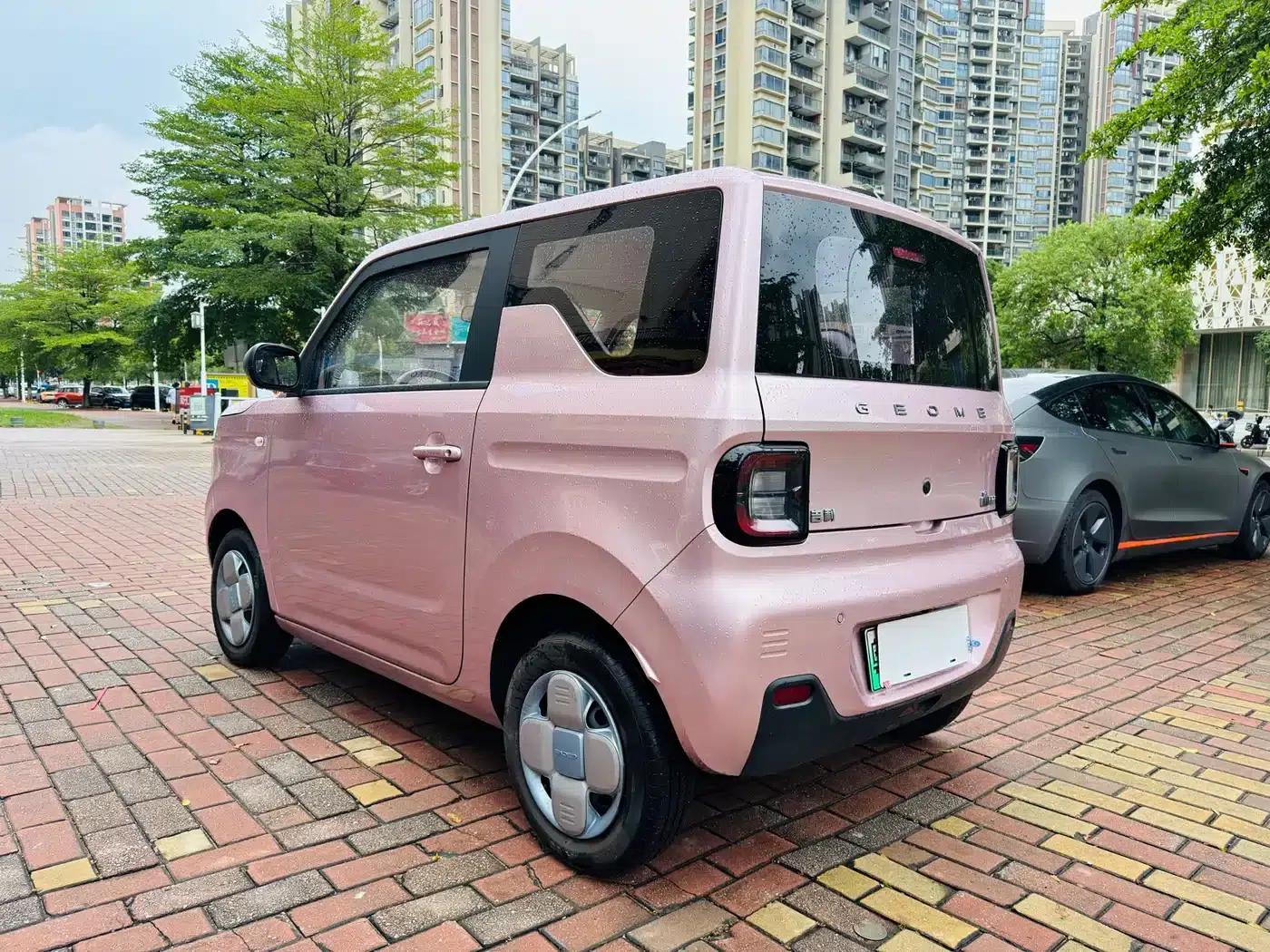 Panda 2023 Panda Mini 200km Endurance Bear — миниатюра 16