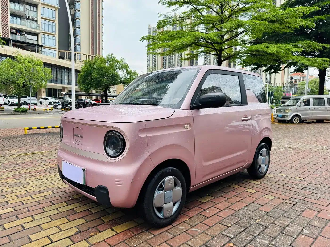 Panda 2023 Panda Mini 200km Endurance Bear — миниатюра 3
