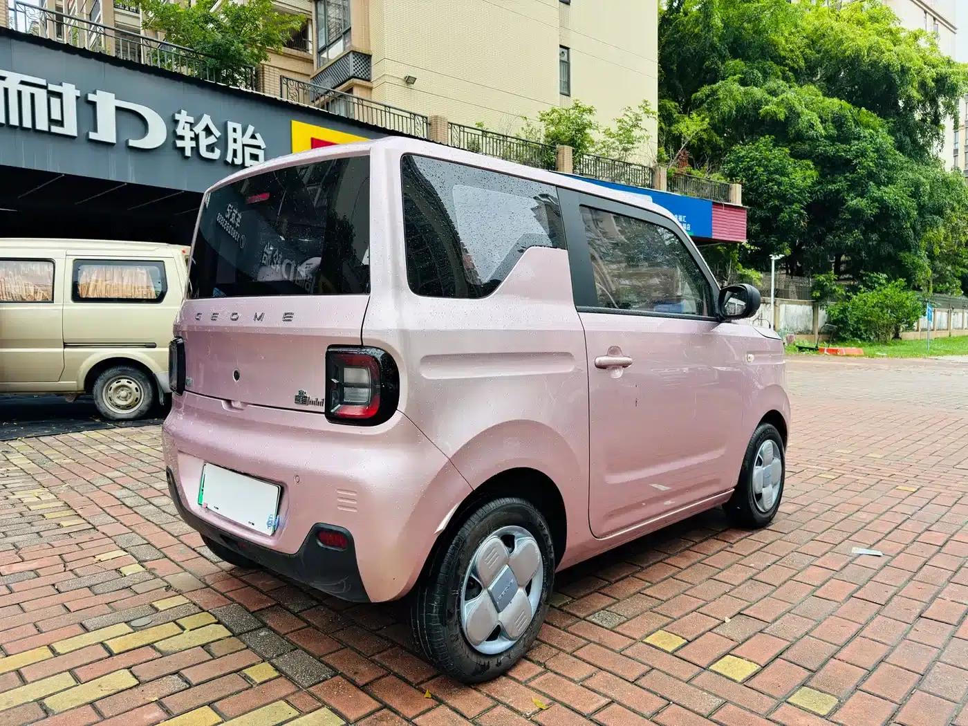 Panda 2023 Panda Mini 200km Endurance Bear — миниатюра 7