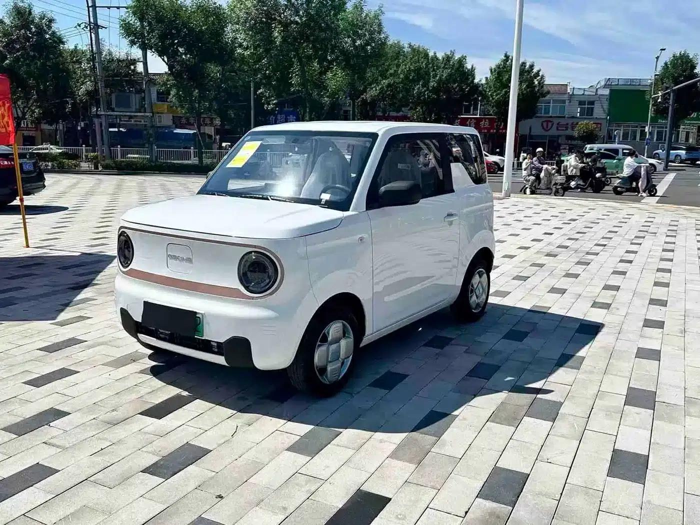 Panda 2024 Panda Mini 200km Endurance Bear — миниатюра 1