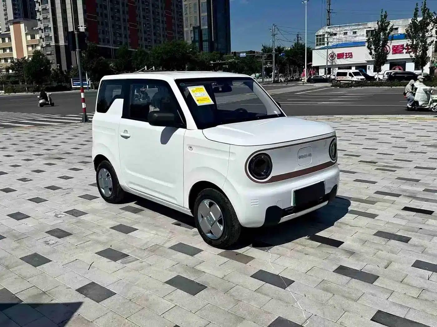 Panda 2024 Panda Mini 200km Endurance Bear — миниатюра 2