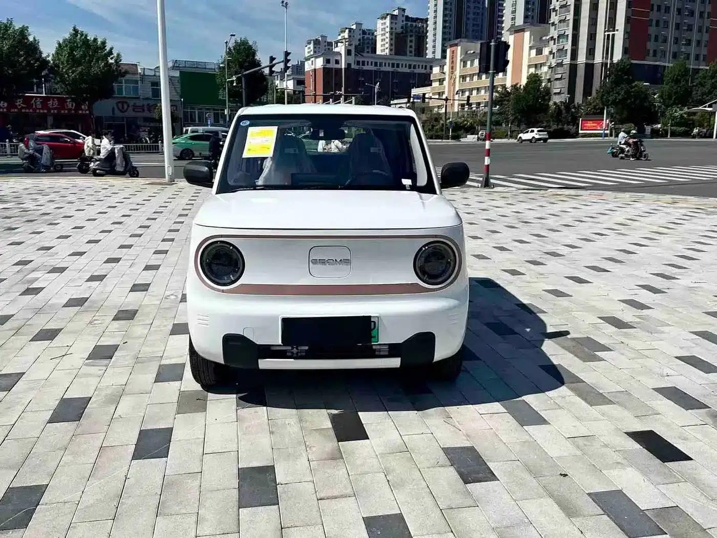Panda 2024 Panda Mini 200km Endurance Bear — миниатюра 3