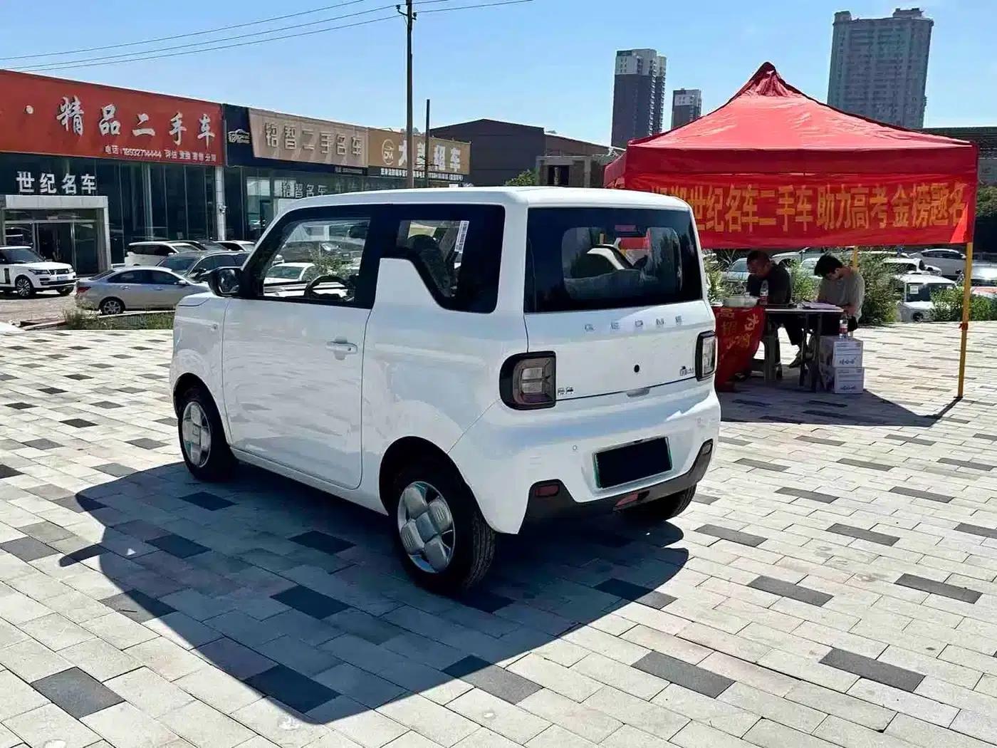 Panda 2024 Panda Mini 200km Endurance Bear — миниатюра 4