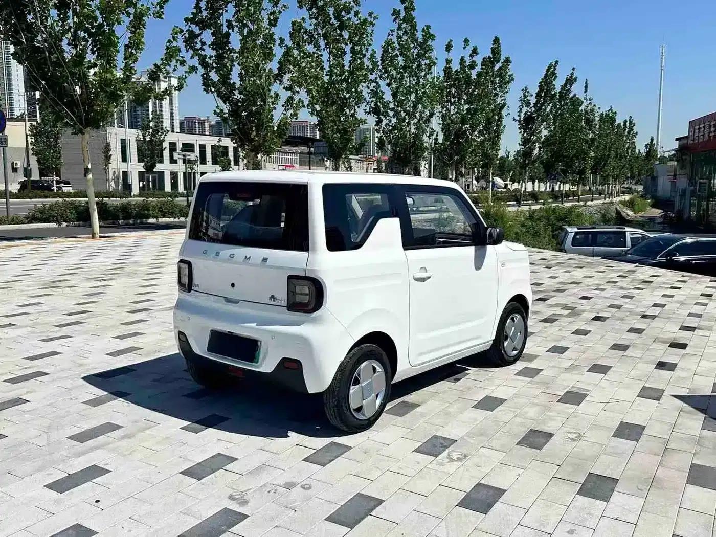 Panda 2024 Panda Mini 200km Endurance Bear — миниатюра 5