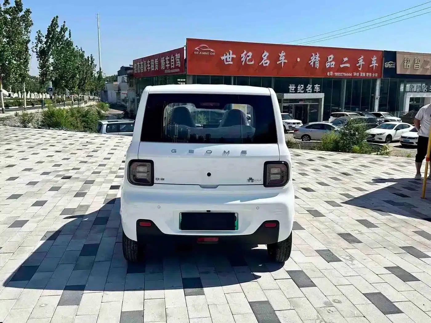 Panda 2024 Panda Mini 200km Endurance Bear — миниатюра 6