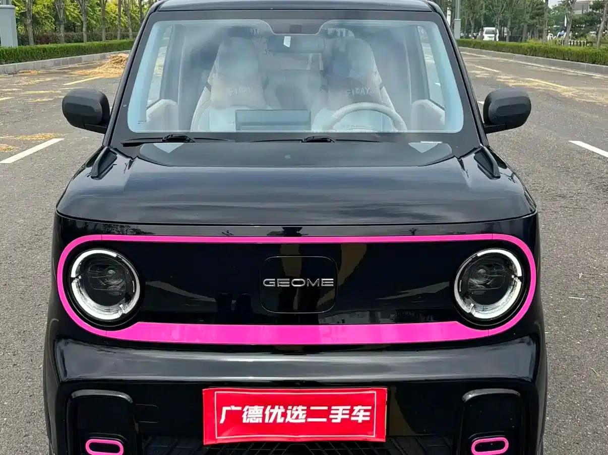 Panda 2024 Model 200km Panda Gokart — миниатюра 1