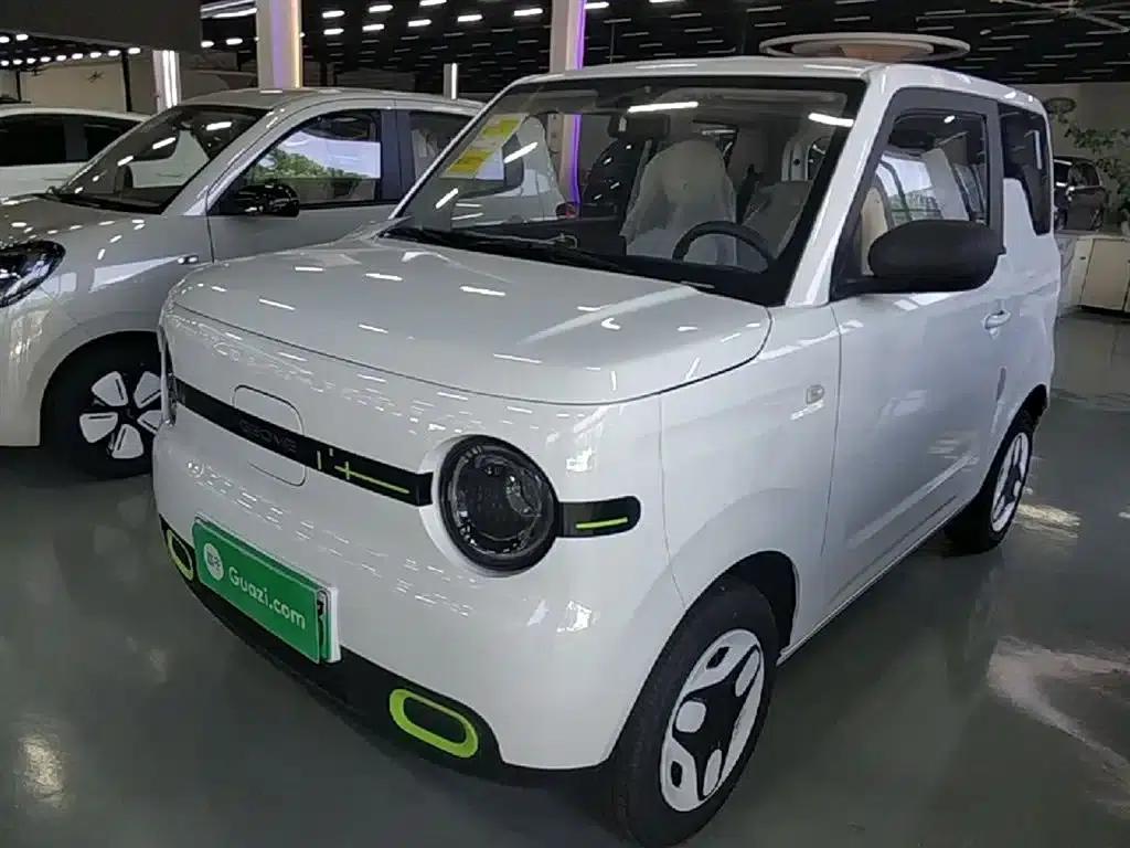 Panda 2025 Panda Mini 210km - Energetic Bear — миниатюра 1