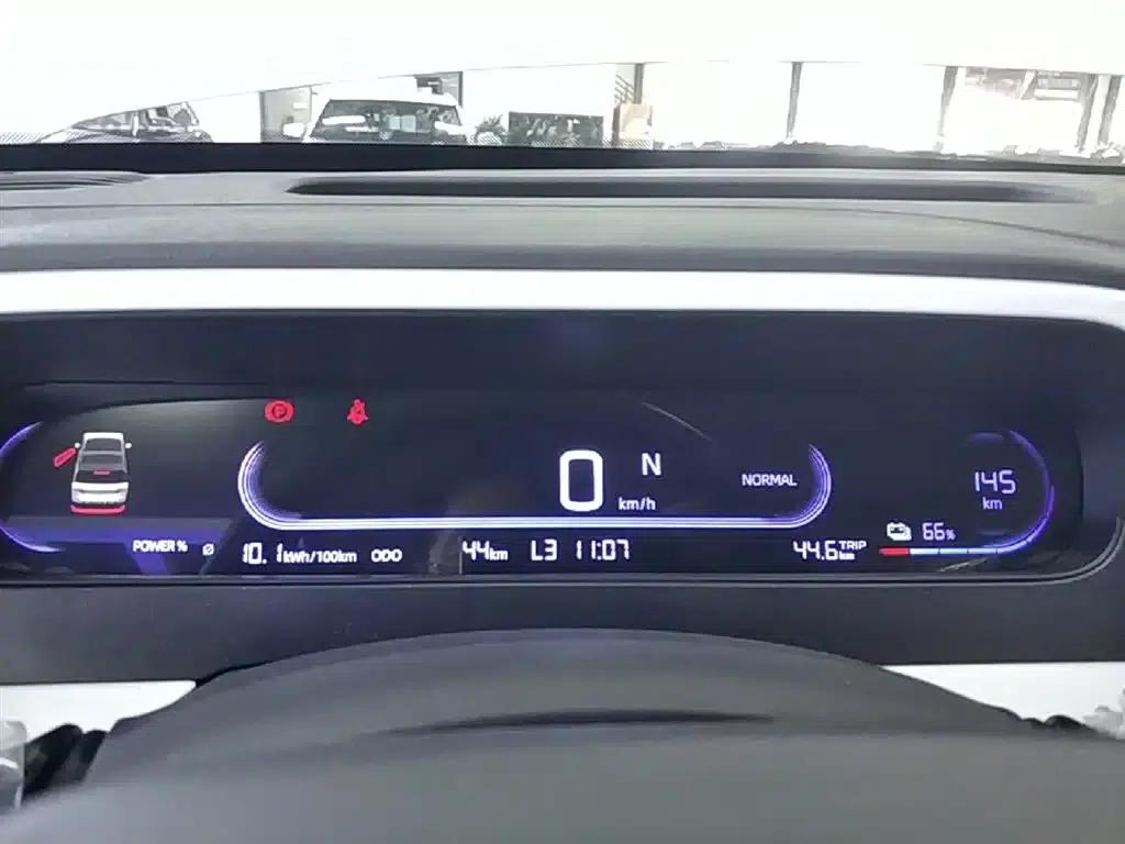 Panda 2025 Panda Mini 210km - Energetic Bear — миниатюра 12
