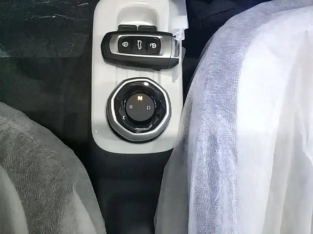 Panda 2025 Panda Mini 210km - Energetic Bear — миниатюра 14