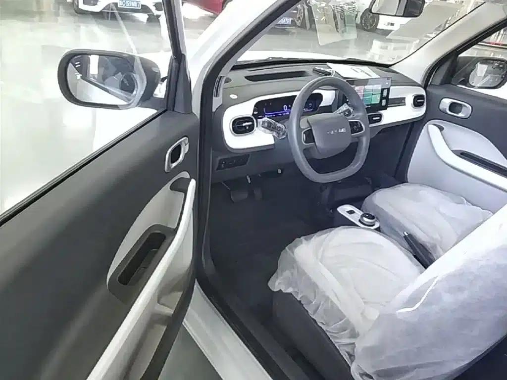Panda 2025 Panda Mini 210km - Energetic Bear — миниатюра 16