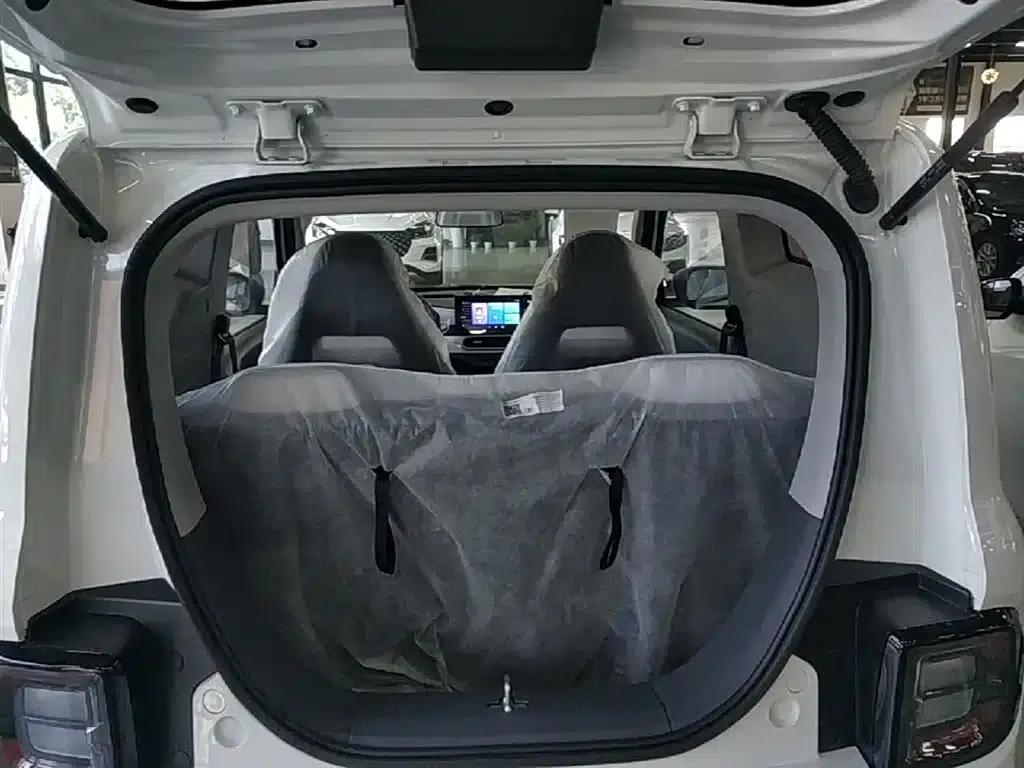 Panda 2025 Panda Mini 210km - Energetic Bear — миниатюра 19