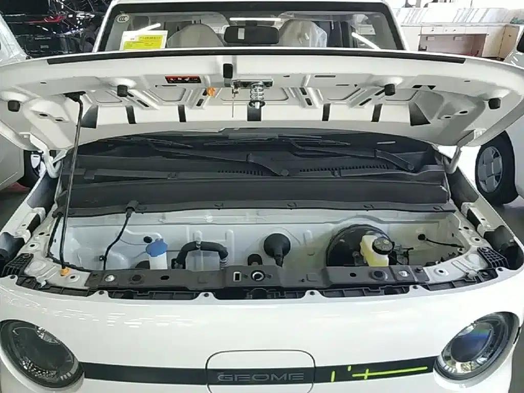 Panda 2025 Panda Mini 210km - Energetic Bear — миниатюра 20