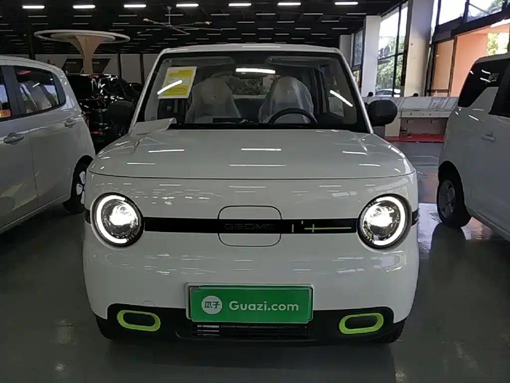 Panda 2025 Panda Mini 210km - Energetic Bear — миниатюра 3