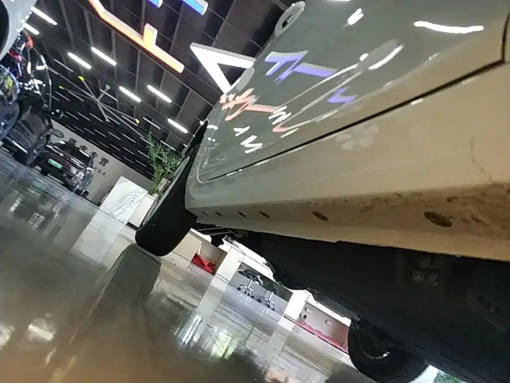 Panda 2025 Panda Mini 210km - Energetic Bear — миниатюра 21