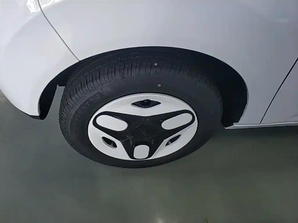 Panda 2025 Panda Mini 210km - Energetic Bear — миниатюра 23
