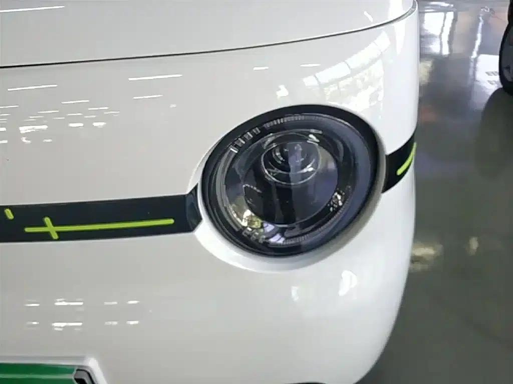 Panda 2025 Panda Mini 210km - Energetic Bear — миниатюра 24