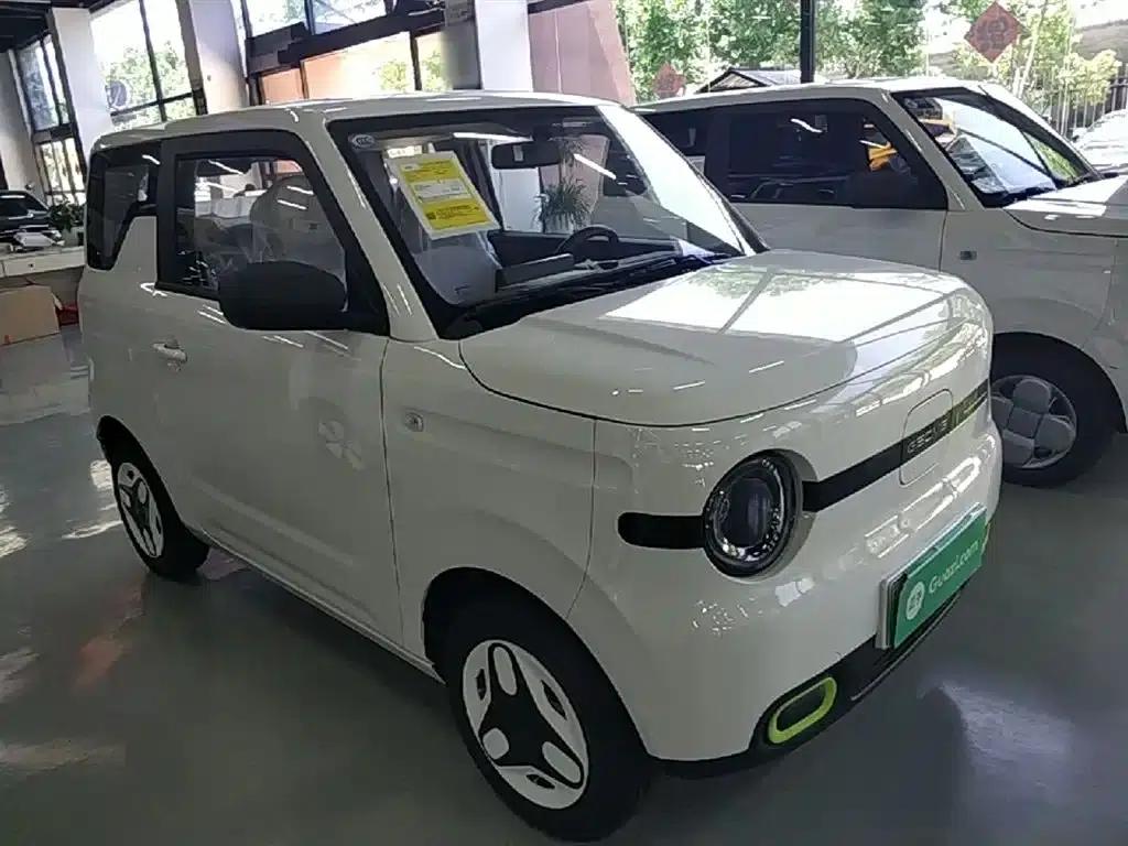 Panda 2025 Panda Mini 210km - Energetic Bear — миниатюра 4