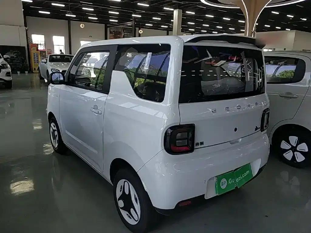 Panda 2025 Panda Mini 210km - Energetic Bear — миниатюра 5