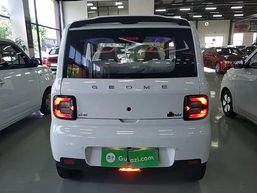Panda 2025 Panda Mini 210km - Energetic Bear — миниатюра 6